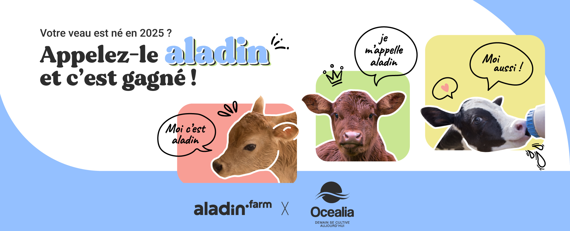 jemappellealadin-ocealia-head